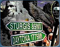 sturgis